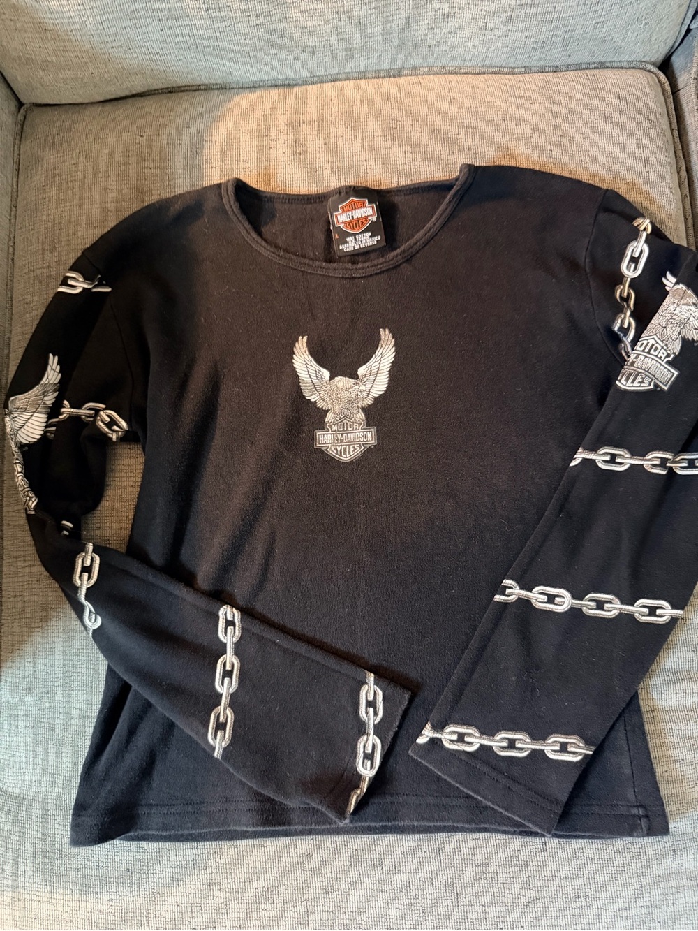 Y2K Harley-Davidson Black Long Sleeve with Silver Eagle & Chain Graphics L